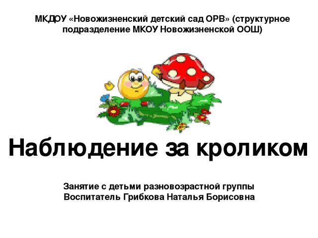 Презентация "Наблюдение за кроликами"
