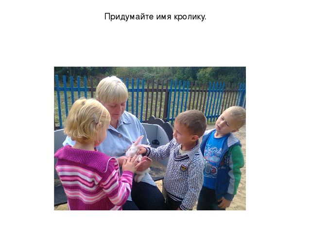 Презентация "Наблюдение за кроликами"