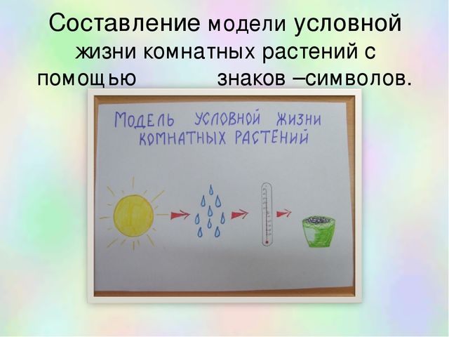 Презентация познавательно-исследовательского проекта "Цветочный калейдоскоп"