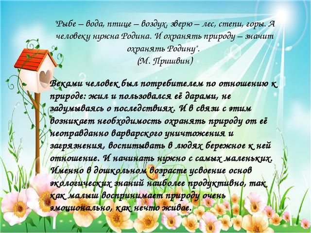 Презентация по познавательному развитию "Птицы Чувашии"