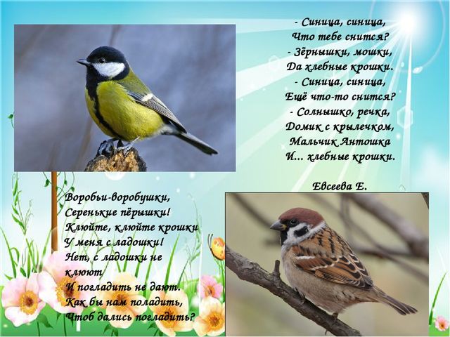 Презентация по познавательному развитию "Птицы Чувашии"
