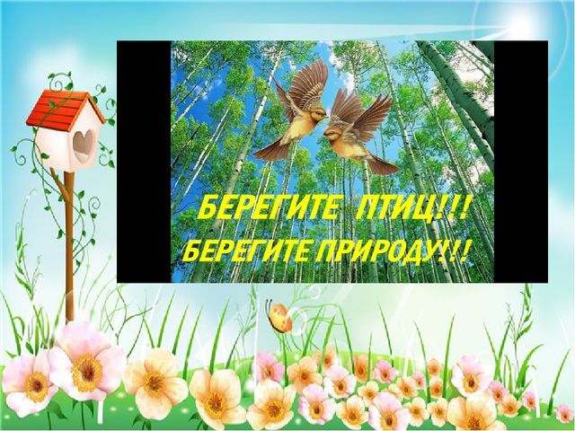 Презентация по познавательному развитию "Птицы Чувашии"