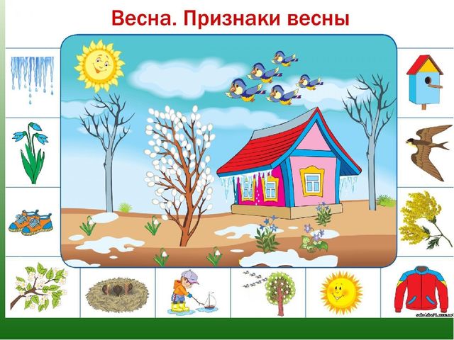 Презентация к НОД "Цветы"