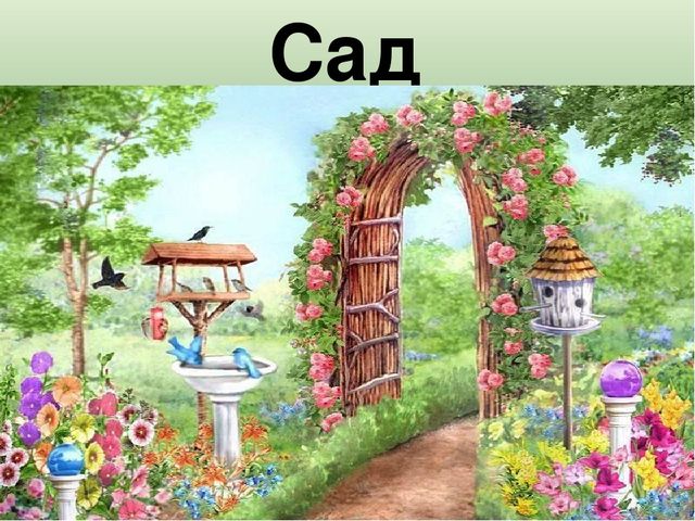 Презентация к НОД "Цветы"