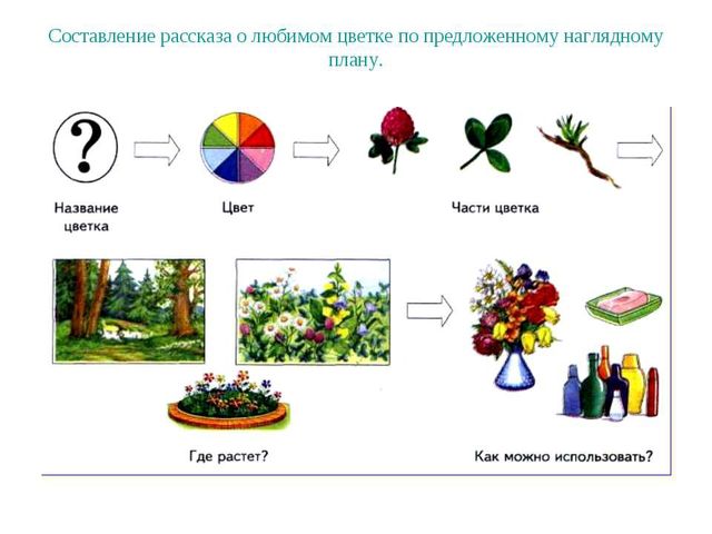 Презентация к НОД "Цветы"
