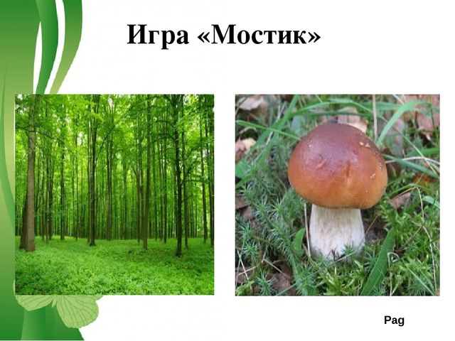 Презентация Диагностика и коррекция познавательной сферы дошкольника