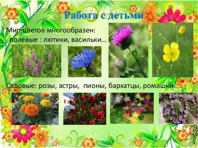 Презентация проекта "Цветочный калейдоскоп"