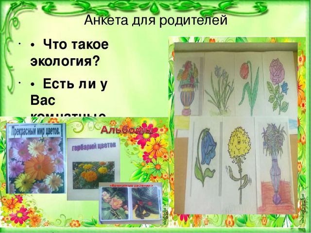 Презентация проекта "Цветочный калейдоскоп"