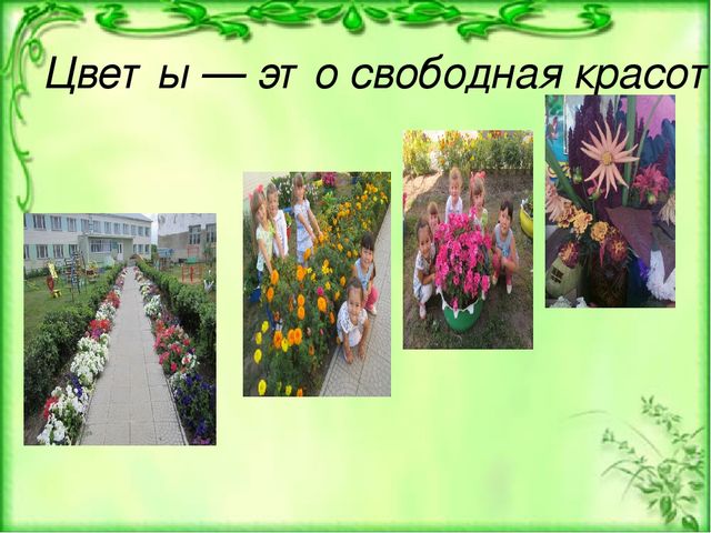 Презентация проекта "Цветочный калейдоскоп"