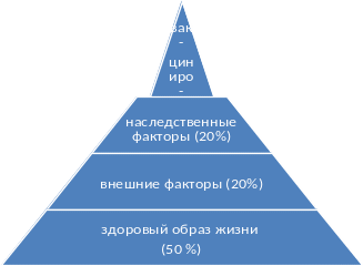 Shape1