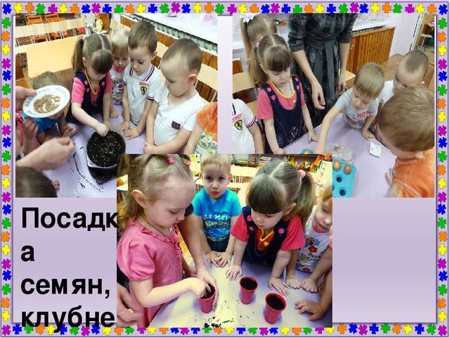 Мини - проект "Огород на подоконнике по мотивам сказки "Пых"