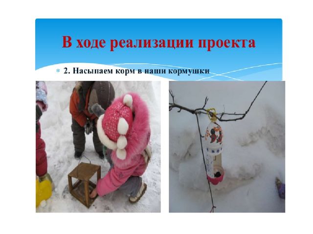 Презентация "Покормите птиц зимой"