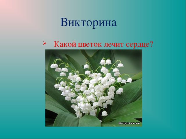 Презентация "Земля-наш общий дом"