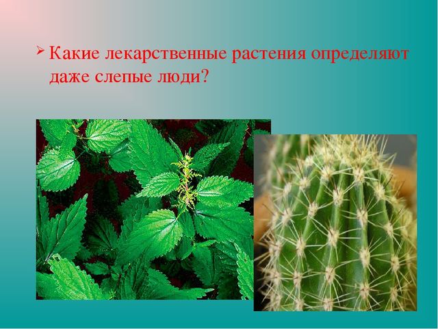 Презентация "Земля-наш общий дом"