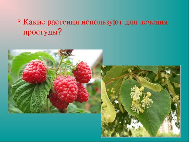 Презентация "Земля-наш общий дом"