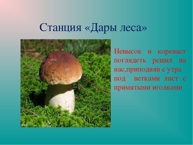 Презентация "Земля-наш общий дом"