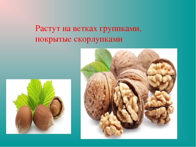 Презентация "Земля-наш общий дом"