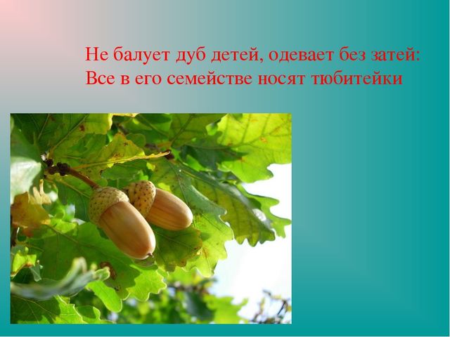 Презентация "Земля-наш общий дом"