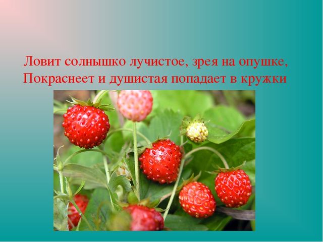 Презентация "Земля-наш общий дом"