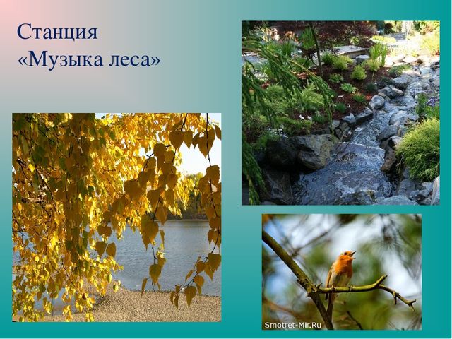 Презентация "Земля-наш общий дом"