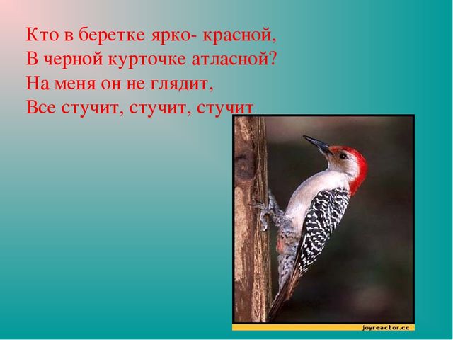 Презентация "Земля-наш общий дом"