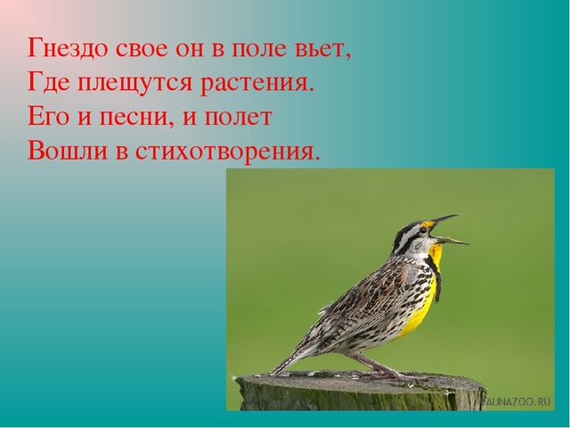 Презентация "Земля-наш общий дом"