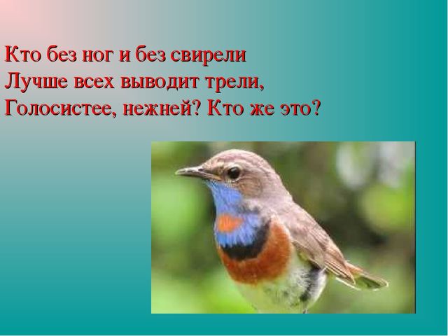 Презентация "Земля-наш общий дом"