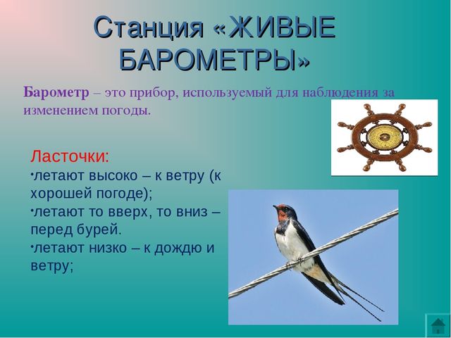 Презентация "Земля-наш общий дом"