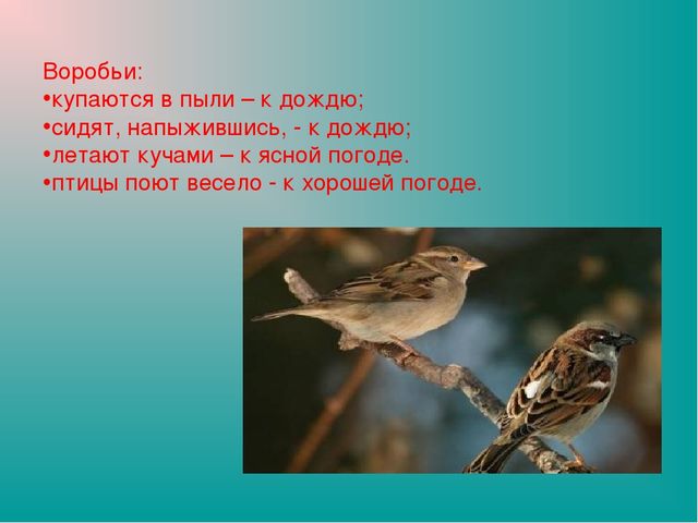 Презентация "Земля-наш общий дом"