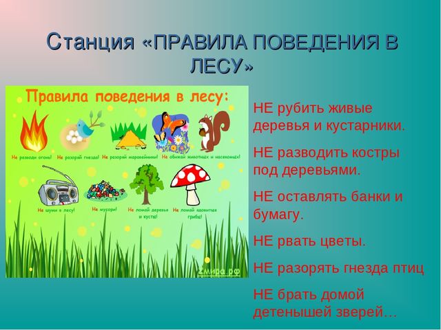 Презентация "Земля-наш общий дом"