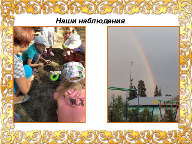 Презентация "Экспериментальная деятельность с детьми" (лето, осень), фотоотчет