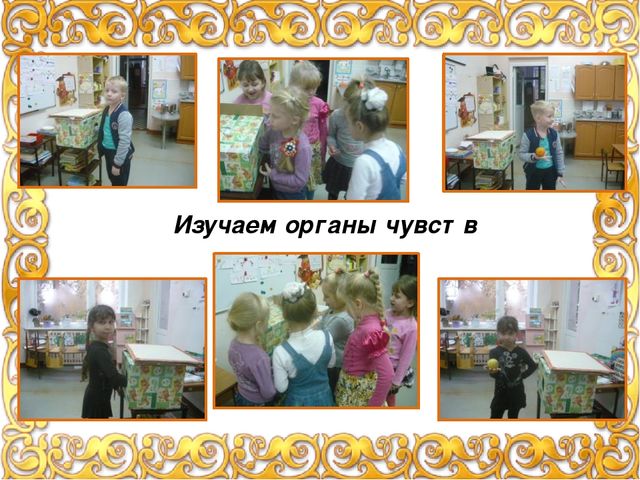 Презентация "Экспериментальная деятельность с детьми" (лето, осень), фотоотчет