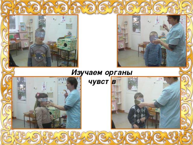 Презентация "Экспериментальная деятельность с детьми" (лето, осень), фотоотчет