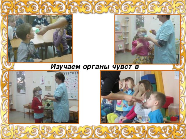 Презентация "Экспериментальная деятельность с детьми" (лето, осень), фотоотчет