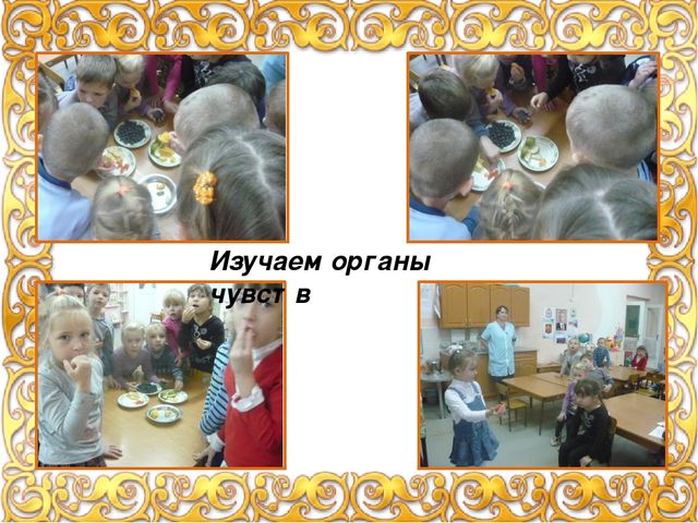 Презентация "Экспериментальная деятельность с детьми" (лето, осень), фотоотчет