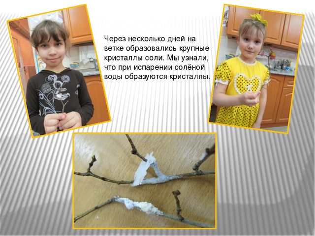 Презентация-отчет проектной работы с детьми подготовительной к школе группы "Волшебница-соль"