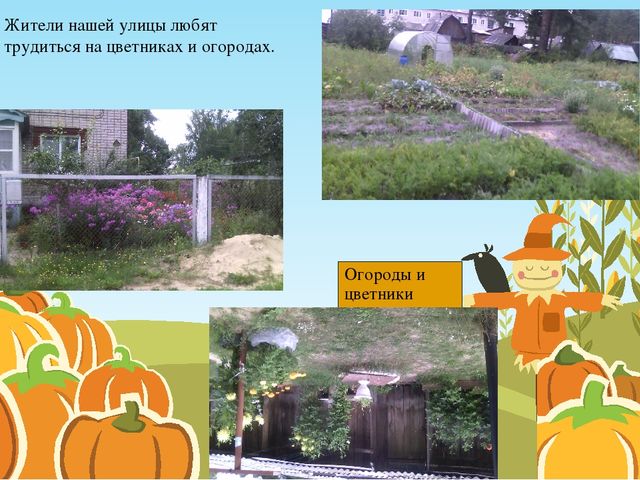Детский проект на тему "Вот моя улица, дом мой родной"