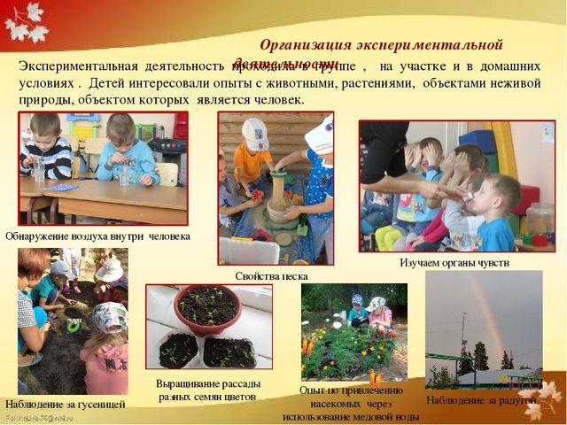 Компьютерная презентация практических достижений профессиональной деятельности воспитателя Мальцевой Ф.Н