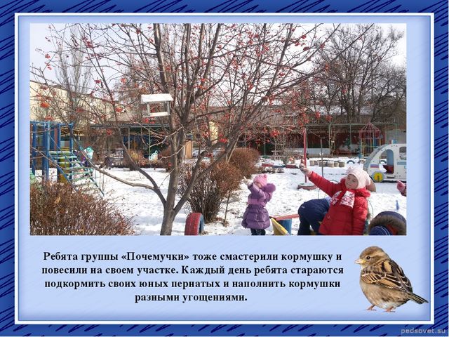 Творческий отчет "Птичья столовая"
