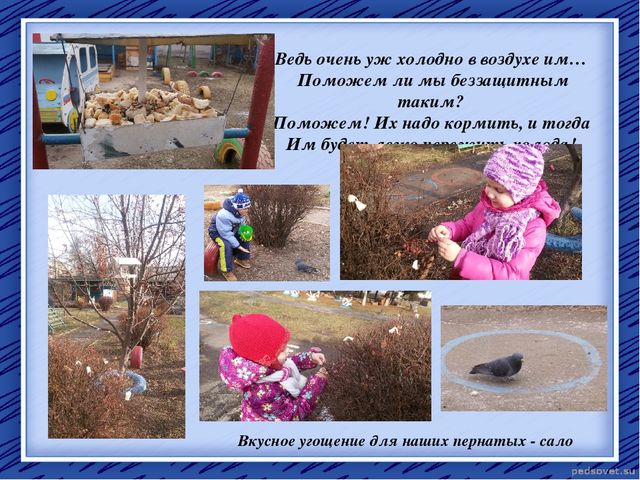 Творческий отчет "Птичья столовая"