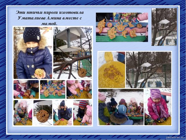 Творческий отчет "Птичья столовая"