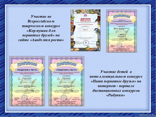 Творческий отчет "Птичья столовая"