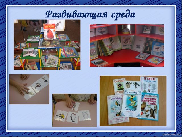 Творческий отчет "Птичья столовая"