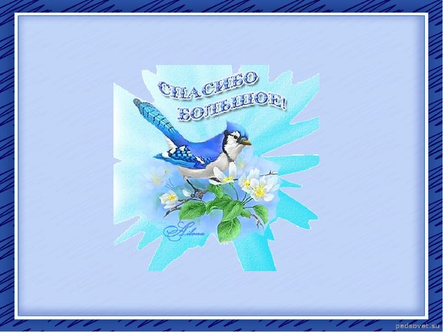 Творческий отчет "Птичья столовая"
