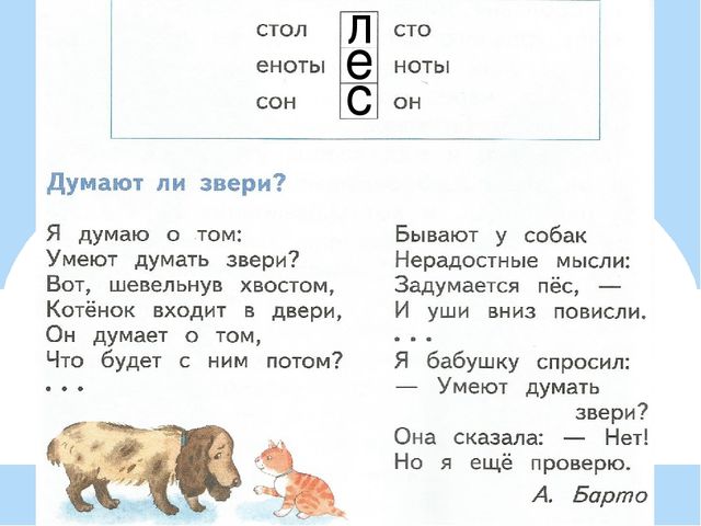 Презентация по предшкольной подготовке. Буква Тт
