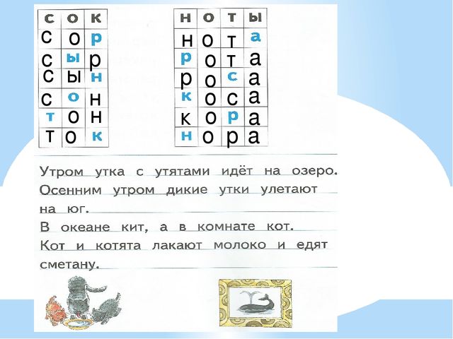 Презентация по предшкольной подготовке. Буква Тт
