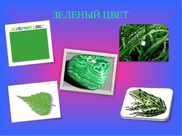 Презентация Сенсорный эталон. Цвет