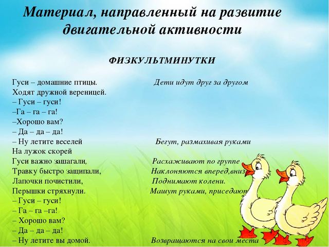 Презентация по теме "Домашние птицы",направленная на развитие двигательной активности дошкольников 5-6 лет
