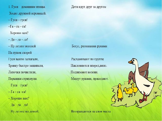 Презентация по теме "Домашние птицы",направленная на развитие двигательной активности дошкольников 5-6 лет