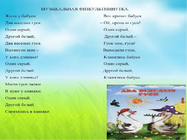 Презентация по теме "Домашние птицы",направленная на развитие двигательной активности дошкольников 5-6 лет